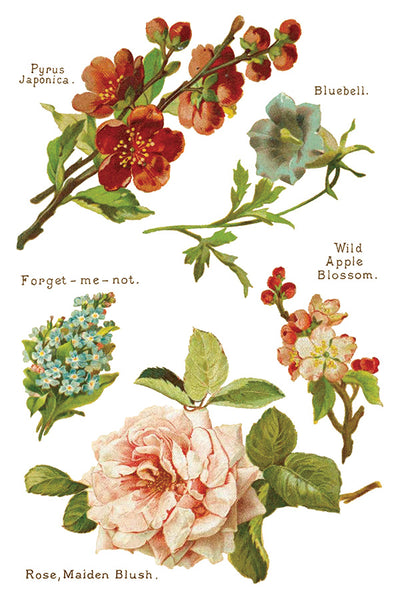 Lover of Flowers Transfer Pad