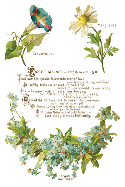 Lover of Flowers Transfer Pad