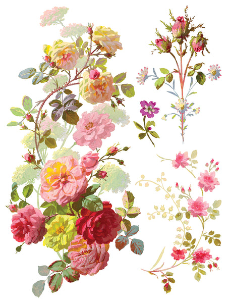 Saint Germain Transfer