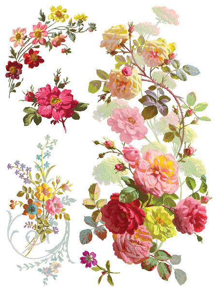 Saint Germain Transfer