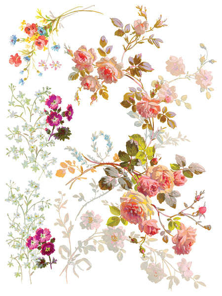 Saint Germain Transfer