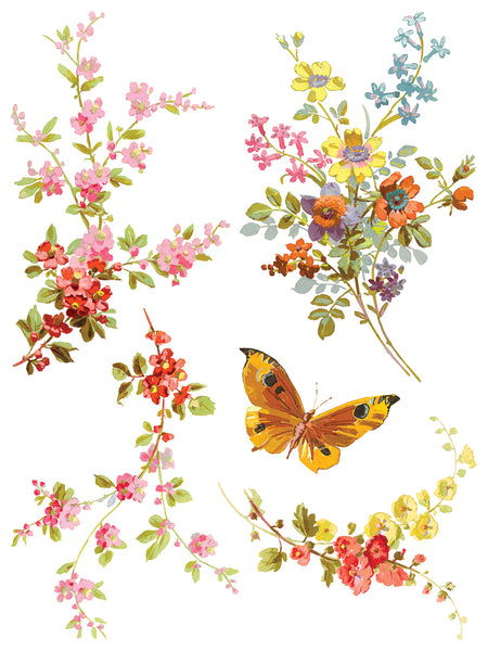 Saint Germain Transfer