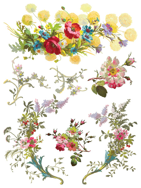 Saint Germain Transfer