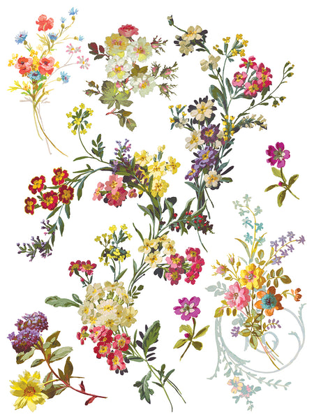 Saint Germain Transfer