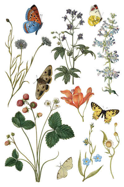 Wilde Bloemen Transfer
