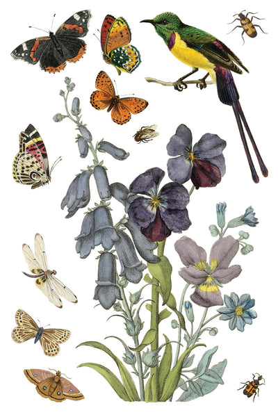 Wilde Bloemen Transfer