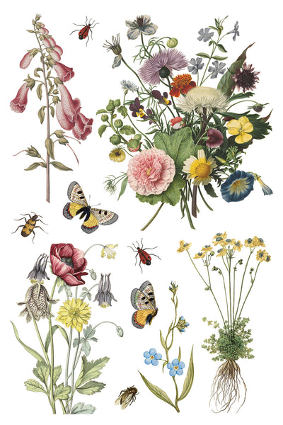 Wilde Bloemen Transfer