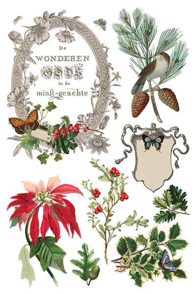 Winter Botanist IOD Transfer