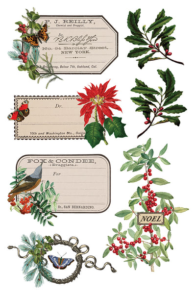 Winter Botanist IOD Transfer