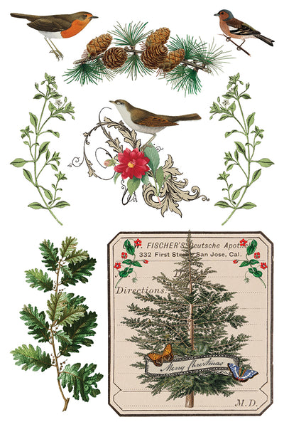 Winter Botanist IOD Transfer