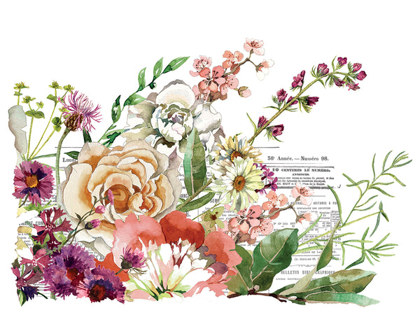 Elysium Transfer Pad