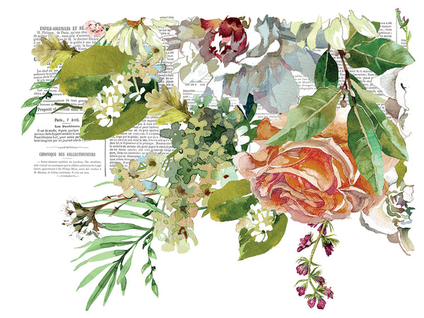 Elysium Transfer Pad