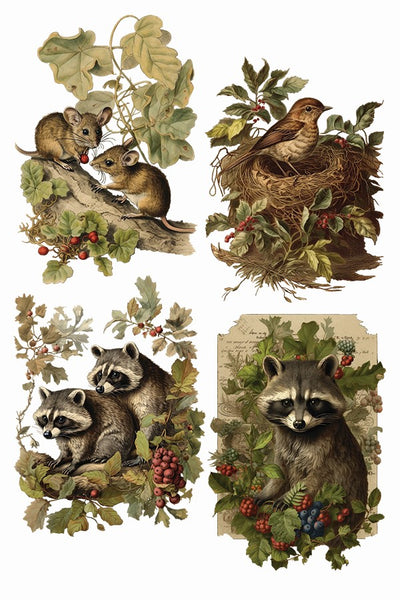 Holly Glen Transfer Pad