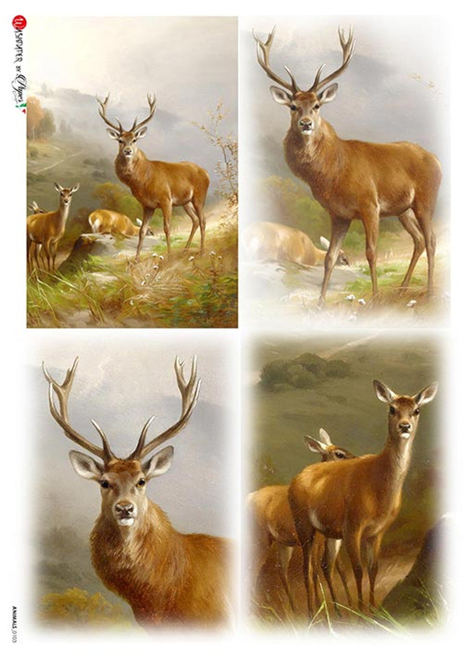 Deer in Forest 4 Pack 0103 - Rice Paper by Paper Designs (Copy)