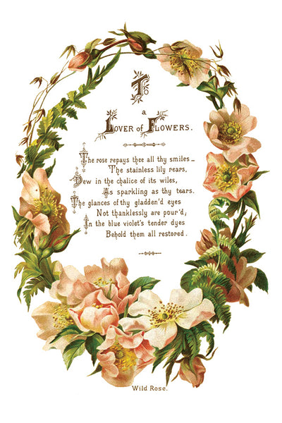 Lover of Flowers Transfer Pad