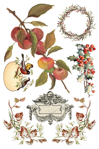 Santa's Hollow IOD Transfer