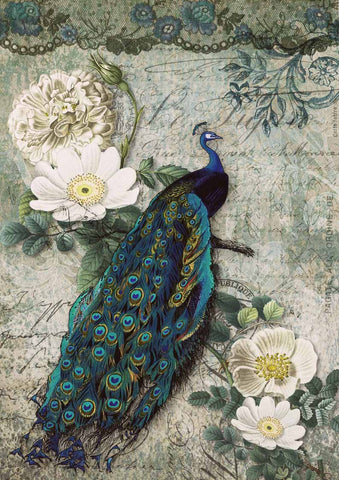 Peacock Majesty - Rice Paper by Decoupage Queen