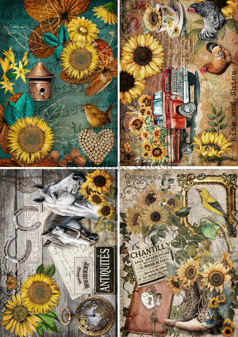 Country Sunflowers 4 Pack- Rice Paper by Decoupage Queen