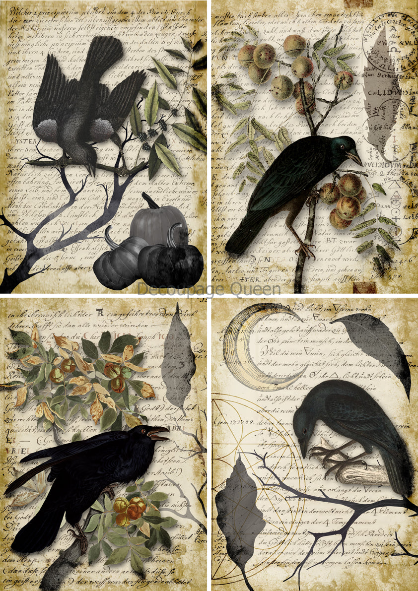 Raven Grimoire Four Pack  - 0627 - Rice Paper Decoupage Queen