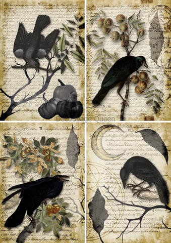 Raven Grimoire Four Pack  - 0627 - Rice Paper Decoupage Queen