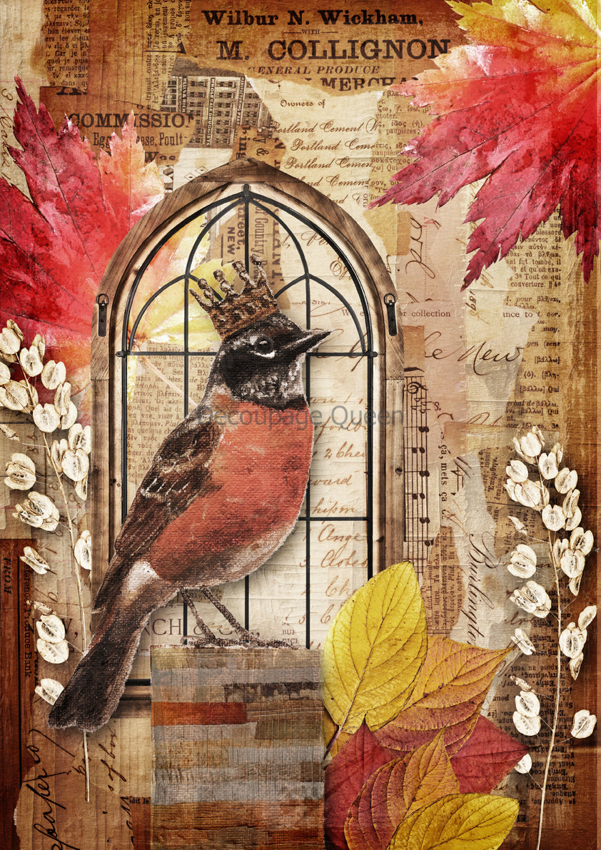 Crowned Robin  - 0629 - Rice Paper Decoupage Queen