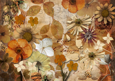 Pressed Autumn Flowers 0636 - Rice Paper Decoupage Queen