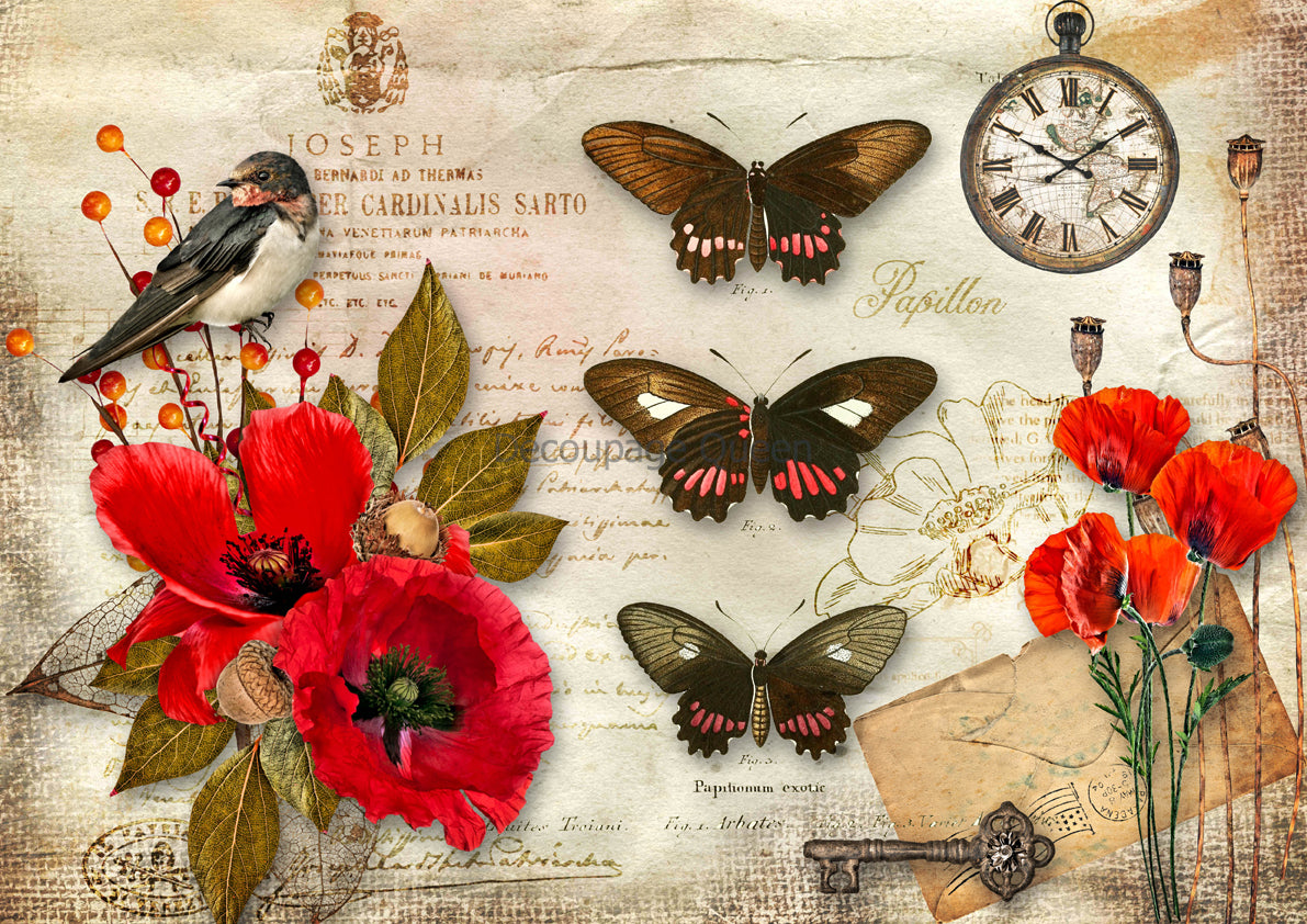 papillon-poppies-0653-rice-paper-decoupage-queen-2-chicks-home-and-market