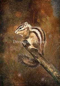 Resting Chipmunk - 0820 Rice Paper by Decoupage Queen