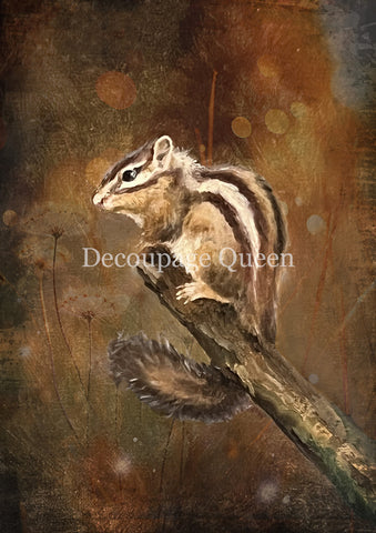 Resting Chipmunk - 0820 Rice Paper by Decoupage Queen