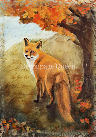 Painted Fox - 0821 Rice Paper by Decoupage Queen