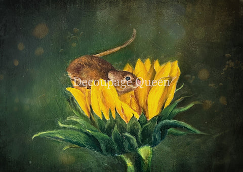 Curious Mouse - 0822 Rice Paper by Decoupage Queen