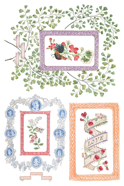 Emily Clare IOD Transfer