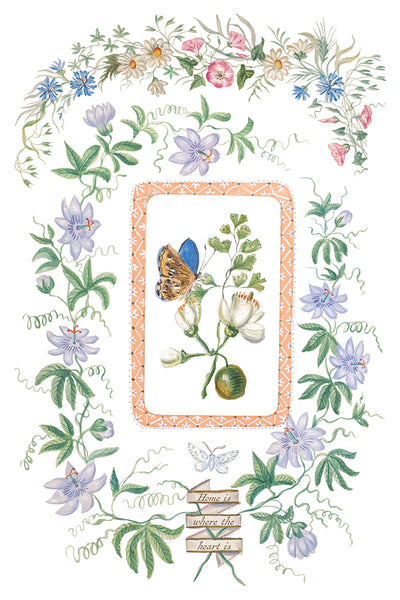 Emily Clare IOD Transfer