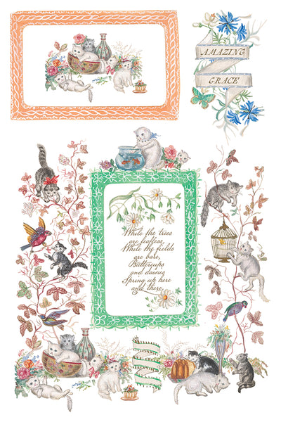 Emily Clare IOD Transfer