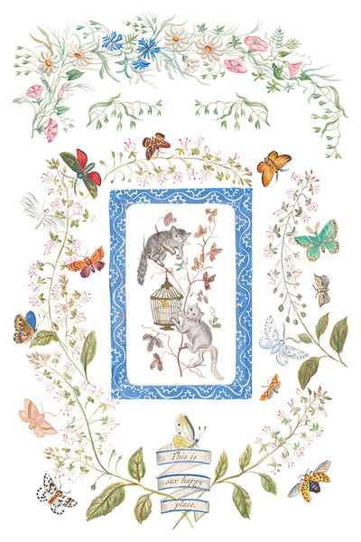 Emily Clare IOD Transfer