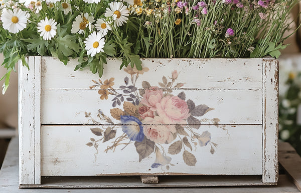 Sainte Quen IOD Transfer