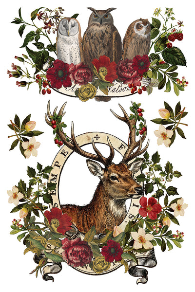 Stag Tavern IOD Transfer