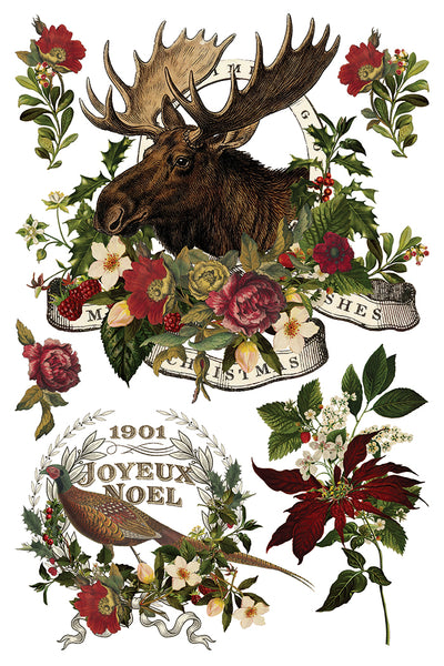 Stag Tavern IOD Transfer
