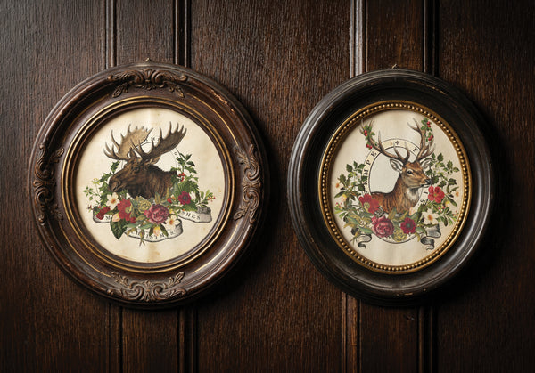 Stag Tavern IOD Transfer