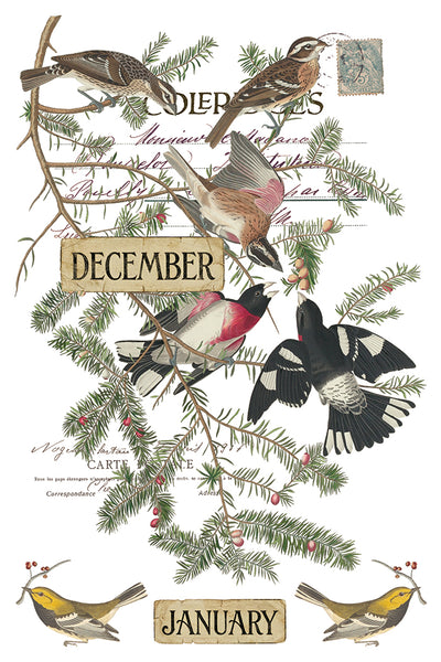 Winter's Calling IOD Transfer