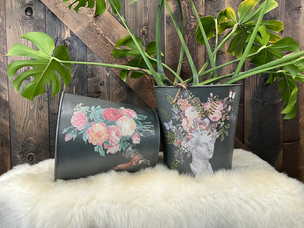 Sainte Quen IOD Transfer