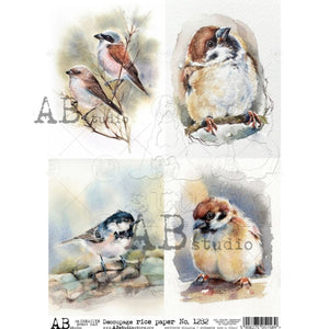 4-Pack Water Color Birds AB1282 - Rice Paper by AB Studios