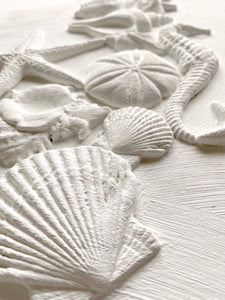 Sea Shells Mould